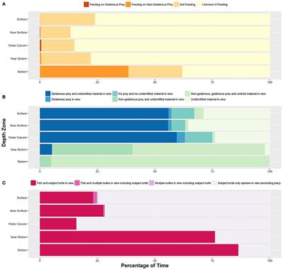 Videography Reveals In-Water Behavior of Loggerhead Turtles (Caretta caretta) at a Foraging Ground